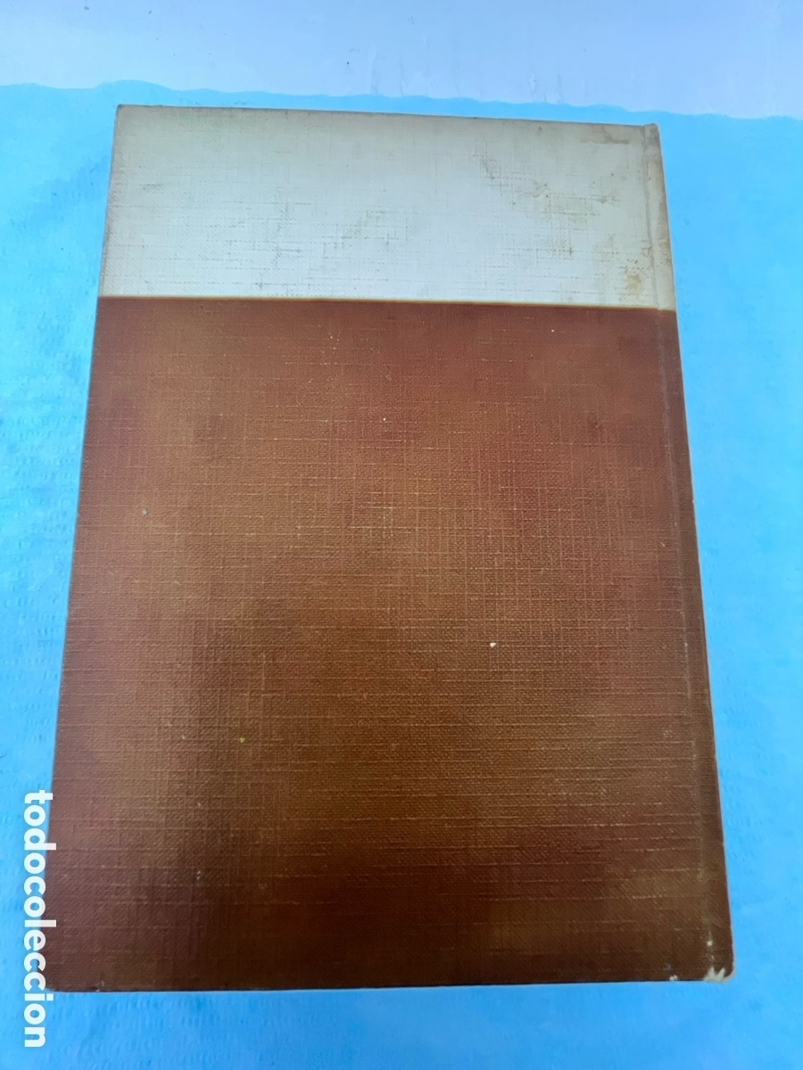 Libros: EL GRAN LIBRO DEL BEB&Eacute; - Margot Ellak - Foto 9