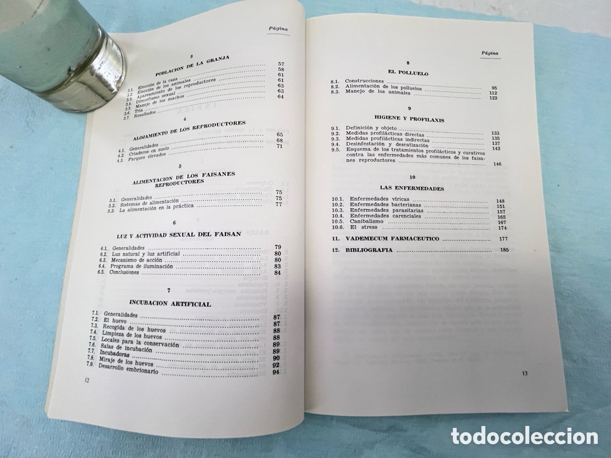 Libros: CR&Iacute;A DEL FAIS&Aacute;N - Orlando Manetti - Foto 6