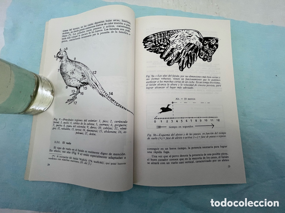 Libros: CR&Iacute;A DEL FAIS&Aacute;N - Orlando Manetti - Foto 8
