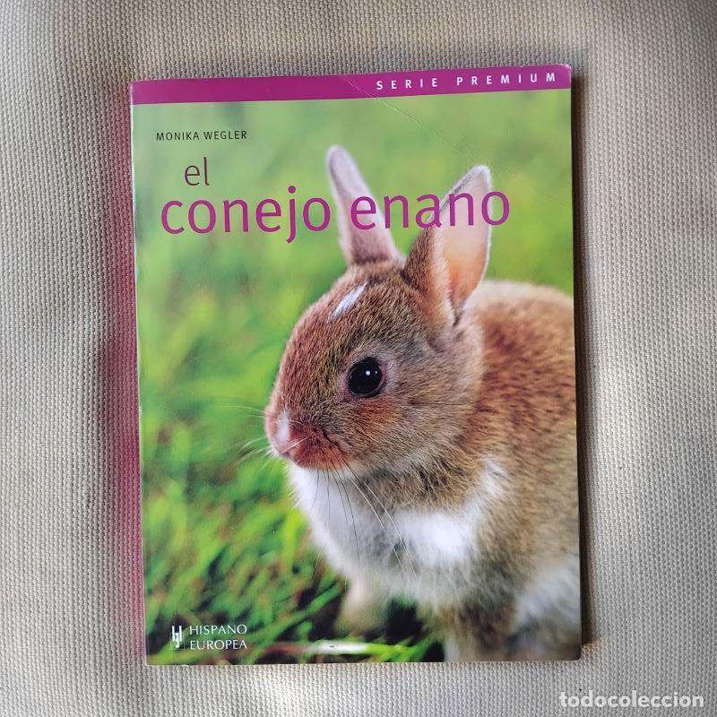 Libros: El conejo enano - Monika Wegler - Foto 1