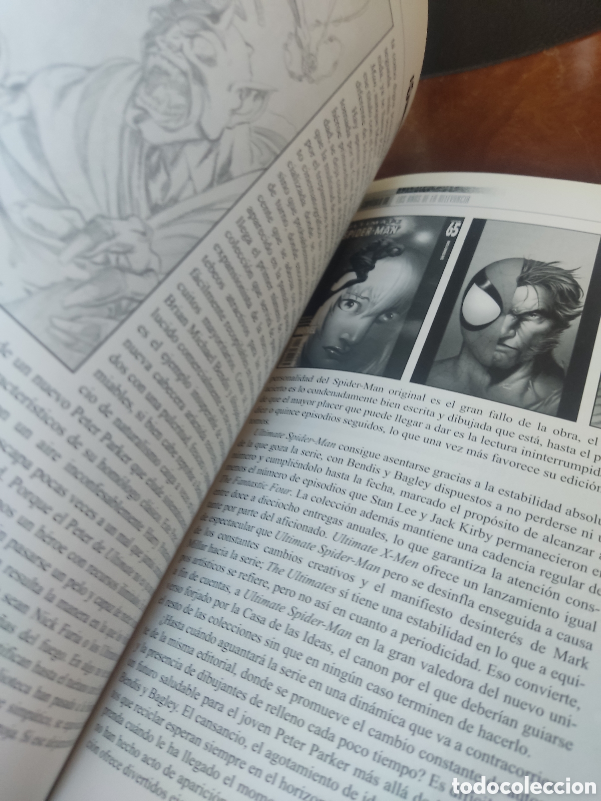 Libros: Spider-Man: Historia de una Ara&ntilde;a (Dolmen, 2004) - Hernando / Clemente. Libro Estudio - Foto 3