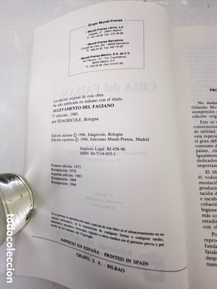 Libros: CR&Iacute;A DEL FAIS&Aacute;N - Orlando Manetti - Foto 3