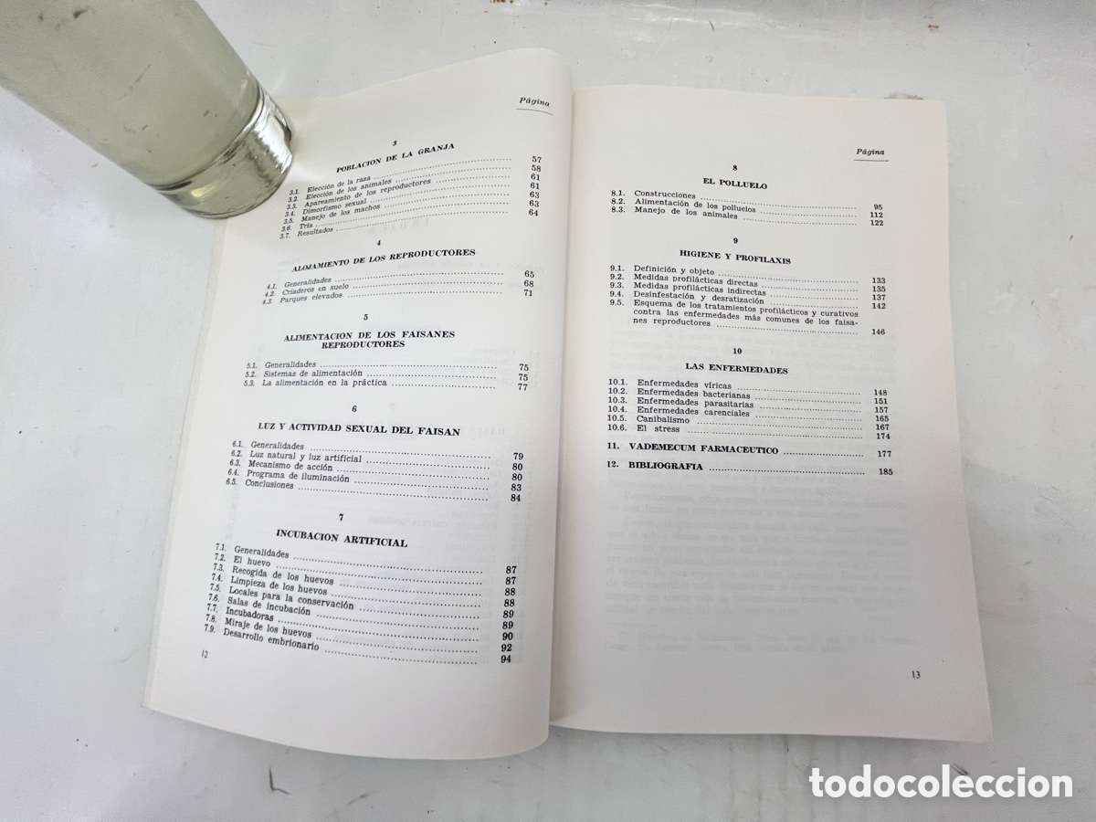Libros: CR&Iacute;A DEL FAIS&Aacute;N - Orlando Manetti - Foto 6
