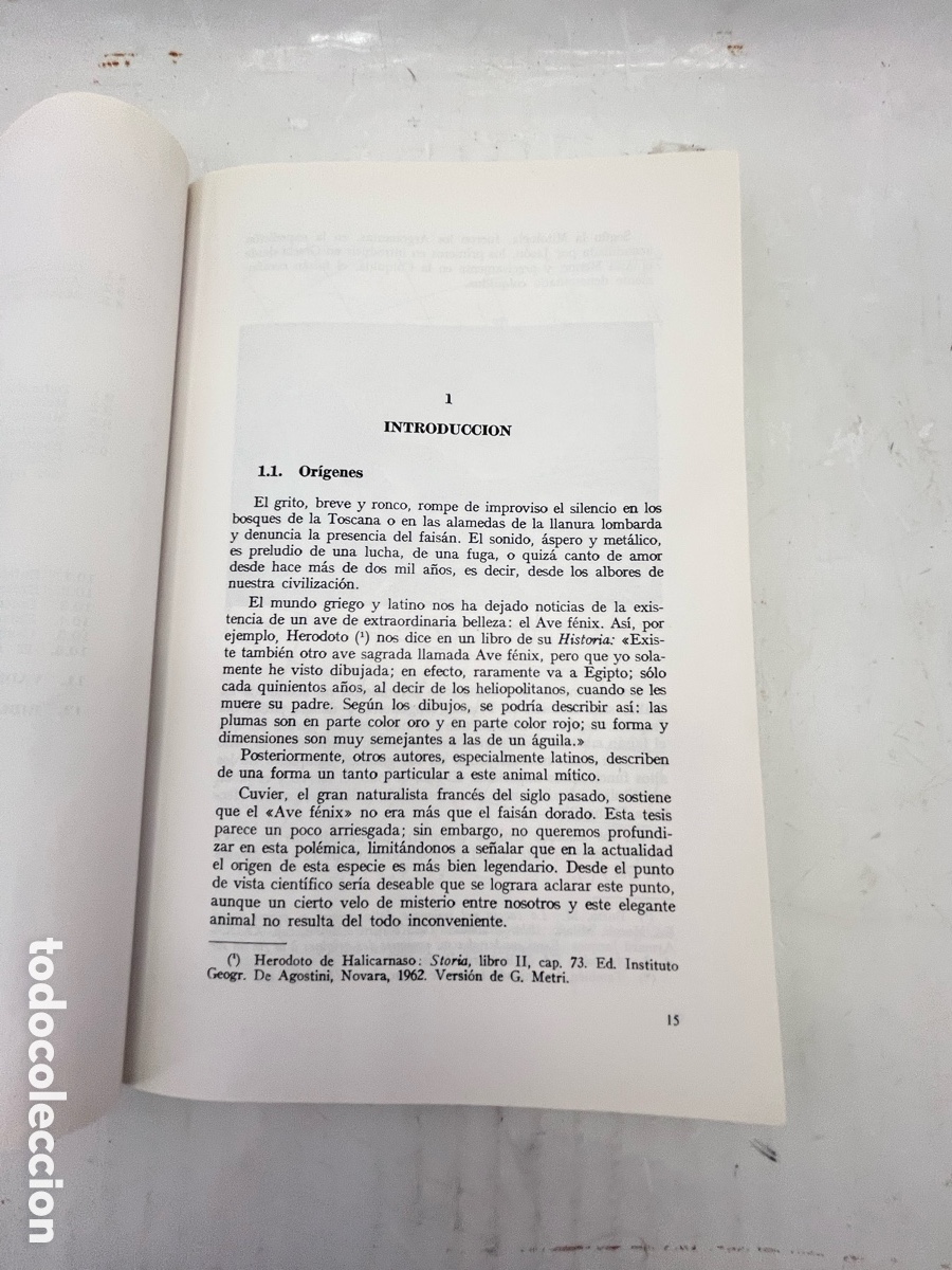 Libros: CR&Iacute;A DEL FAIS&Aacute;N - Orlando Manetti - Foto 7