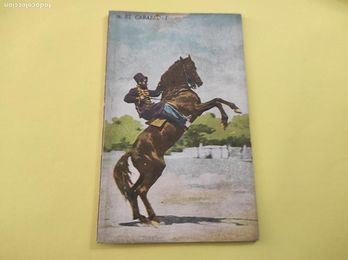 Libros: LIBRITO DE EL CABALLO I N&ordm; 16 SERIE AGRICULTURA Y ZOOTECNIA DE BIBLIOTECA MIRALLES