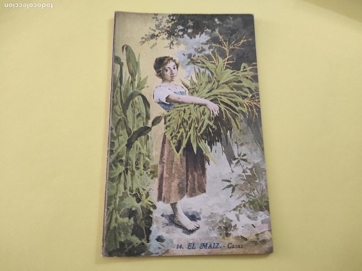 Libros: LIBRITO DE EL MAIZ N&ordm; 14 SERIE AGRICULTURA Y ZOOTECNIA DE BIBLIOTECA MIRALLES