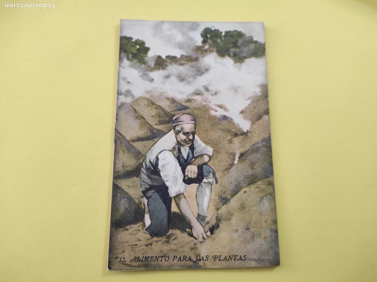 Libros: LIBRITO DE ALIMENTO PARA LAS PLANTAS N&ordm; 12 SERIE AGRICULTURA Y ZOOTECNIA DE BIBLIOTECA MIRALLES