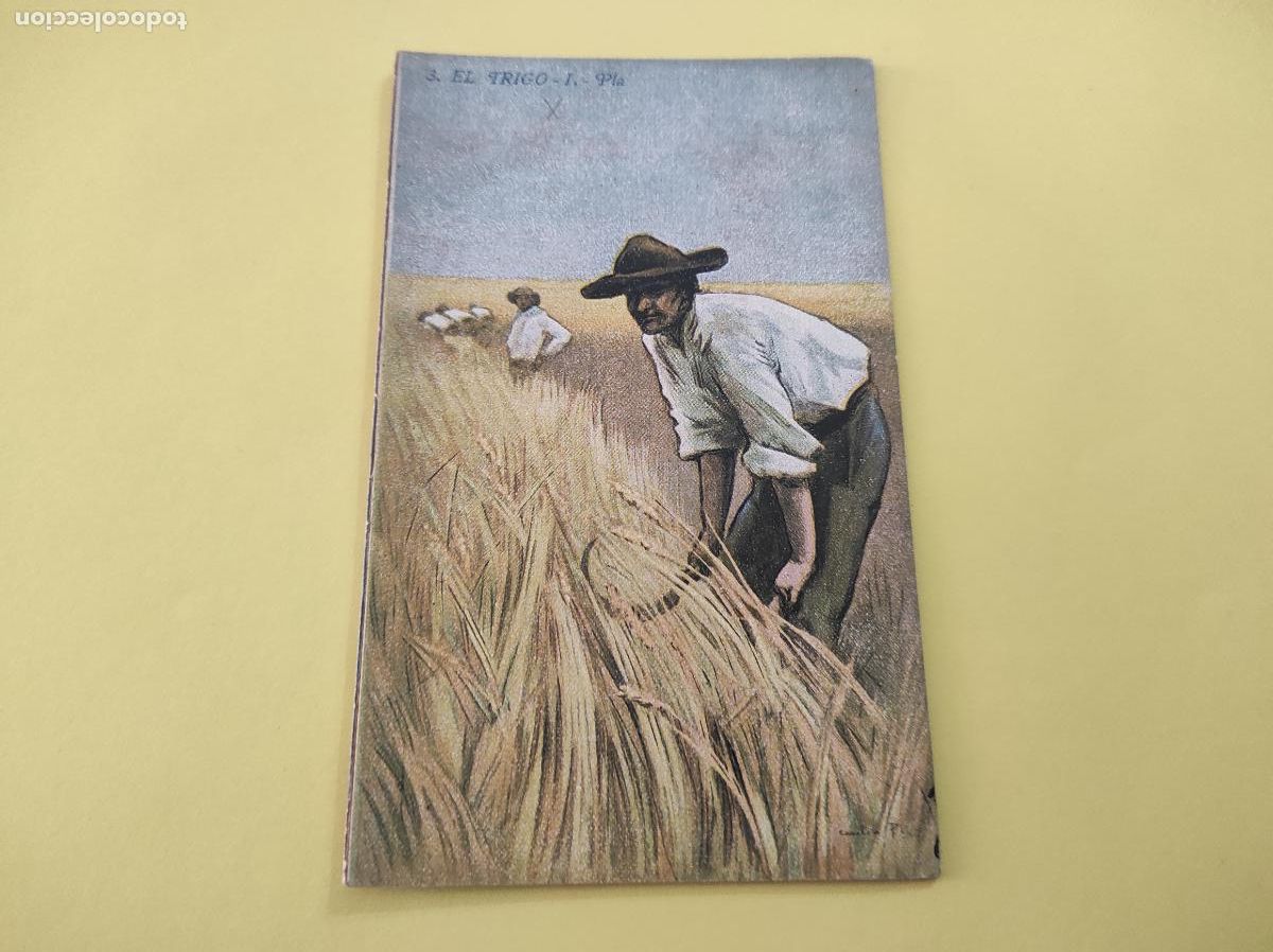 Libros: LIBRITO DE EL TRIGO I N&ordm; 3 SERIE AGRICULTURA Y ZOOTECNIA DE BIBLIOTECA MIRALLES
