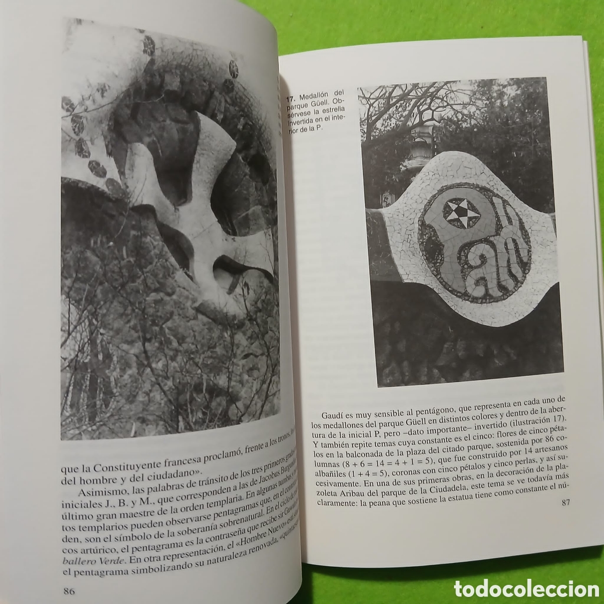 Libros: El Misterio Gaudi, Ernesto Mil&aacute; - Foto 10