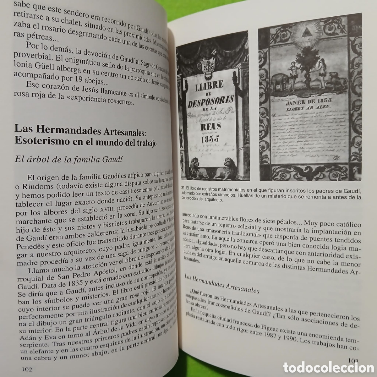Libros: El Misterio Gaudi, Ernesto Mil&aacute; - Foto 11