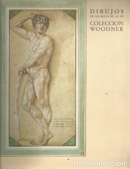 Libros: DIBUJOS COLECCI&Oacute;N WOODNER - S/A - Foto 1