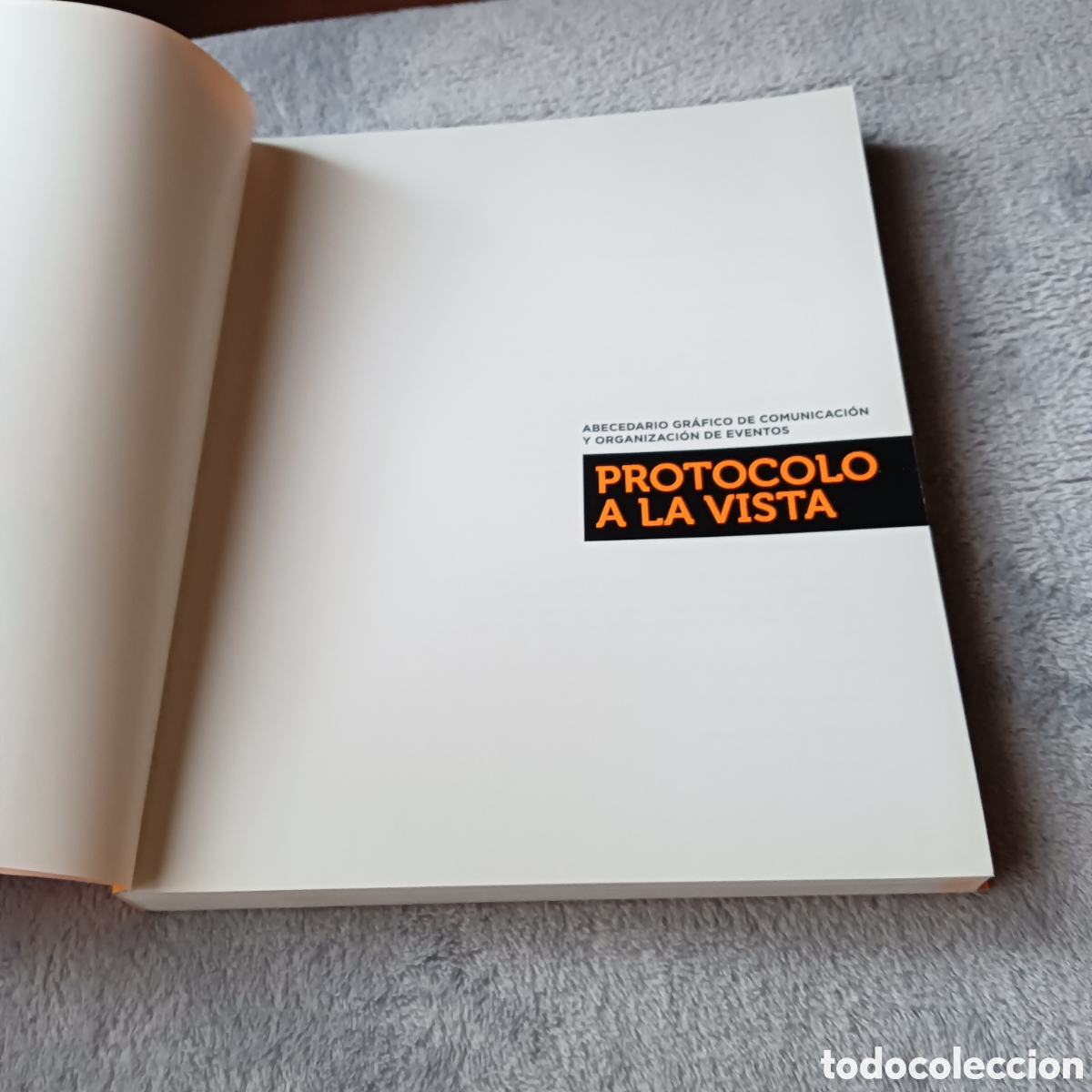 Libros: Protocolo a la vista. Miguel del r&iacute;o Mart&iacute;nez - Foto 2