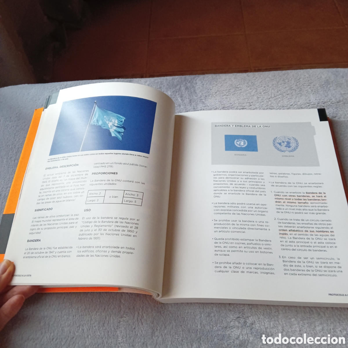 Libros: Protocolo a la vista. Miguel del r&iacute;o Mart&iacute;nez - Foto 5