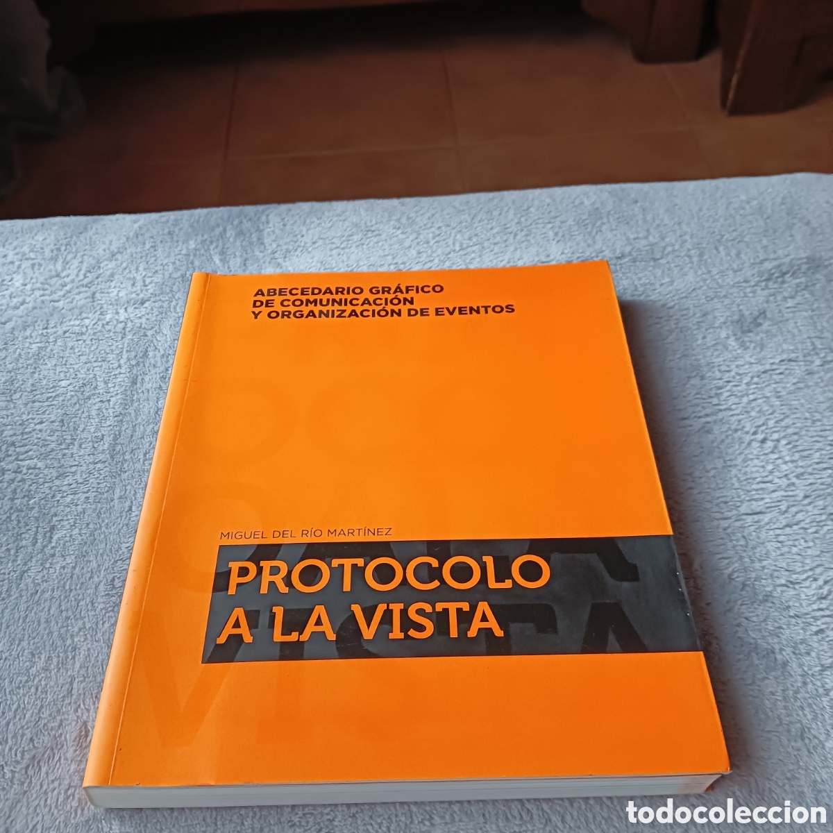 Libros: Protocolo a la vista. Miguel del r&iacute;o Mart&iacute;nez - Foto 1