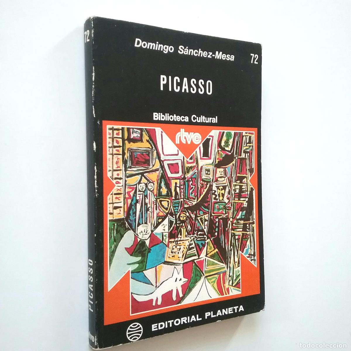 Libros: Domingo S&aacute;nchez-Mesa - Picasso - Foto 1