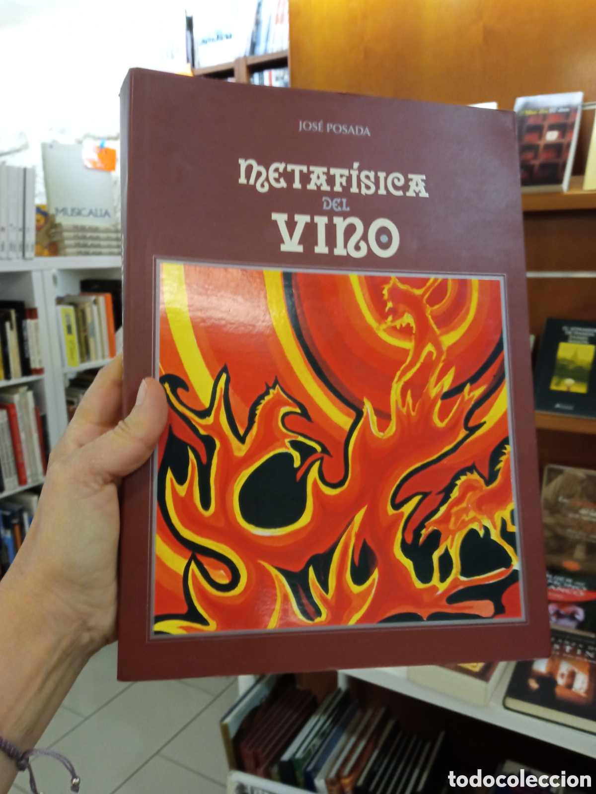 Libros: METAF&Iacute;SICA DEL VINO, JOS&Eacute; POSADA - Foto 1