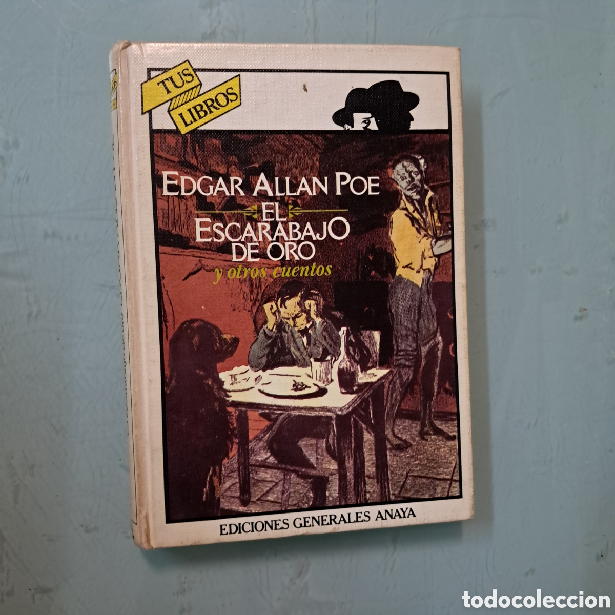 Libros: Edgar Allan Poe, Tus libros Anaya - Foto 1