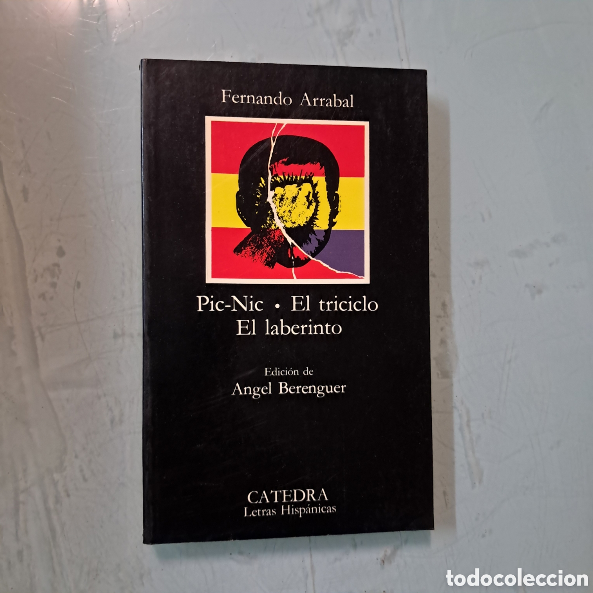 Libros: Fernando Arrabal, Pic Nic, Catedra - Foto 1