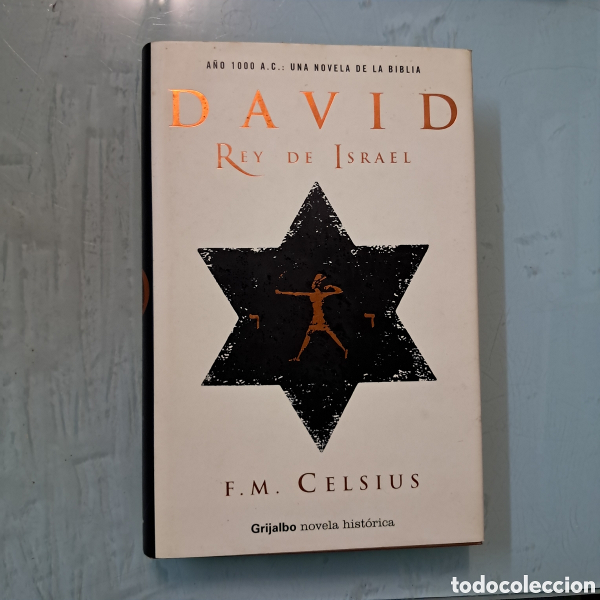 Libros: F.M. Celsius David rey de Israel Grijalbo - Foto 1