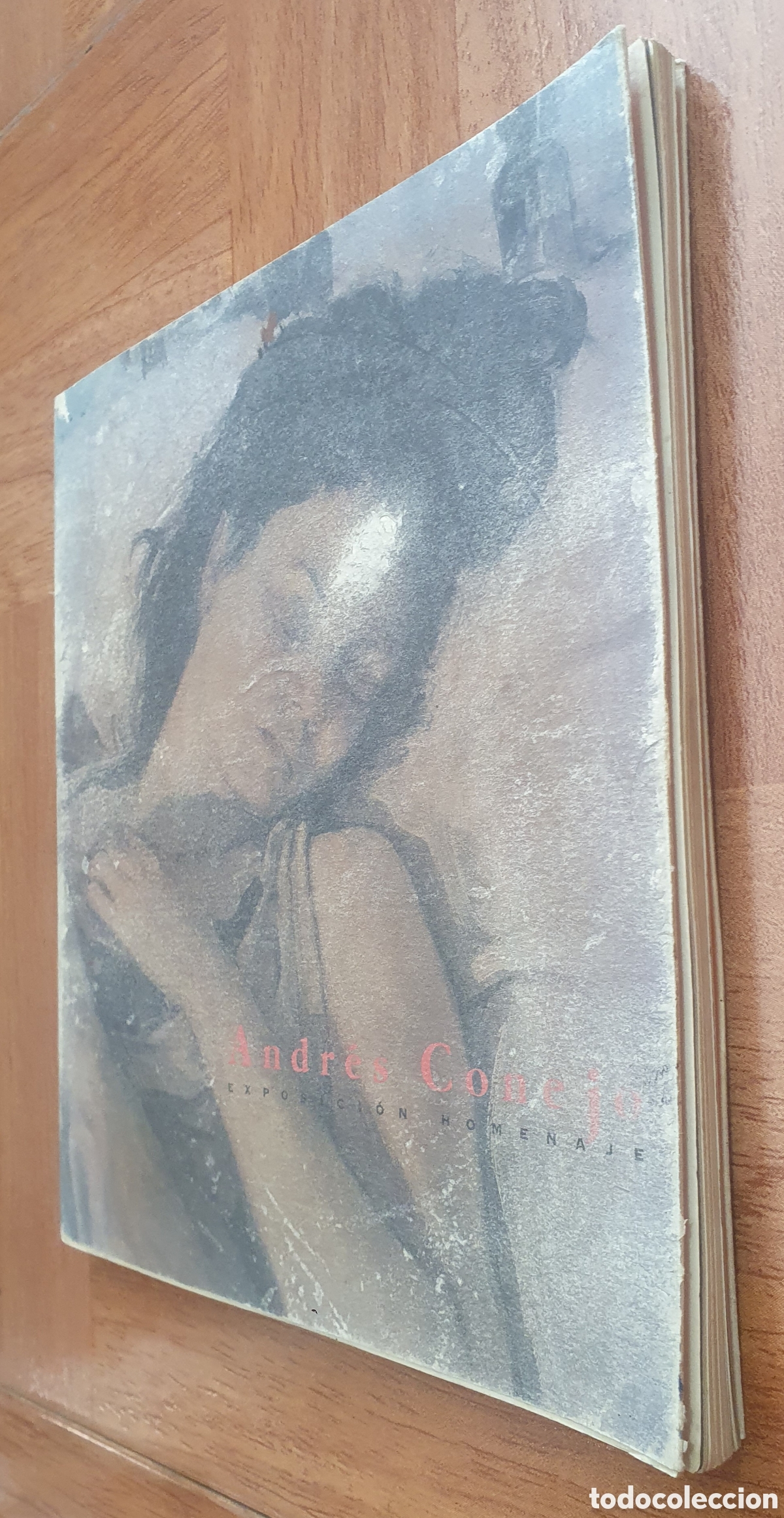 Libros: Andr&eacute;s Conejo: Exposici&oacute;n Homenaje � Biling&uuml;e - VV. AA. - Foto 2