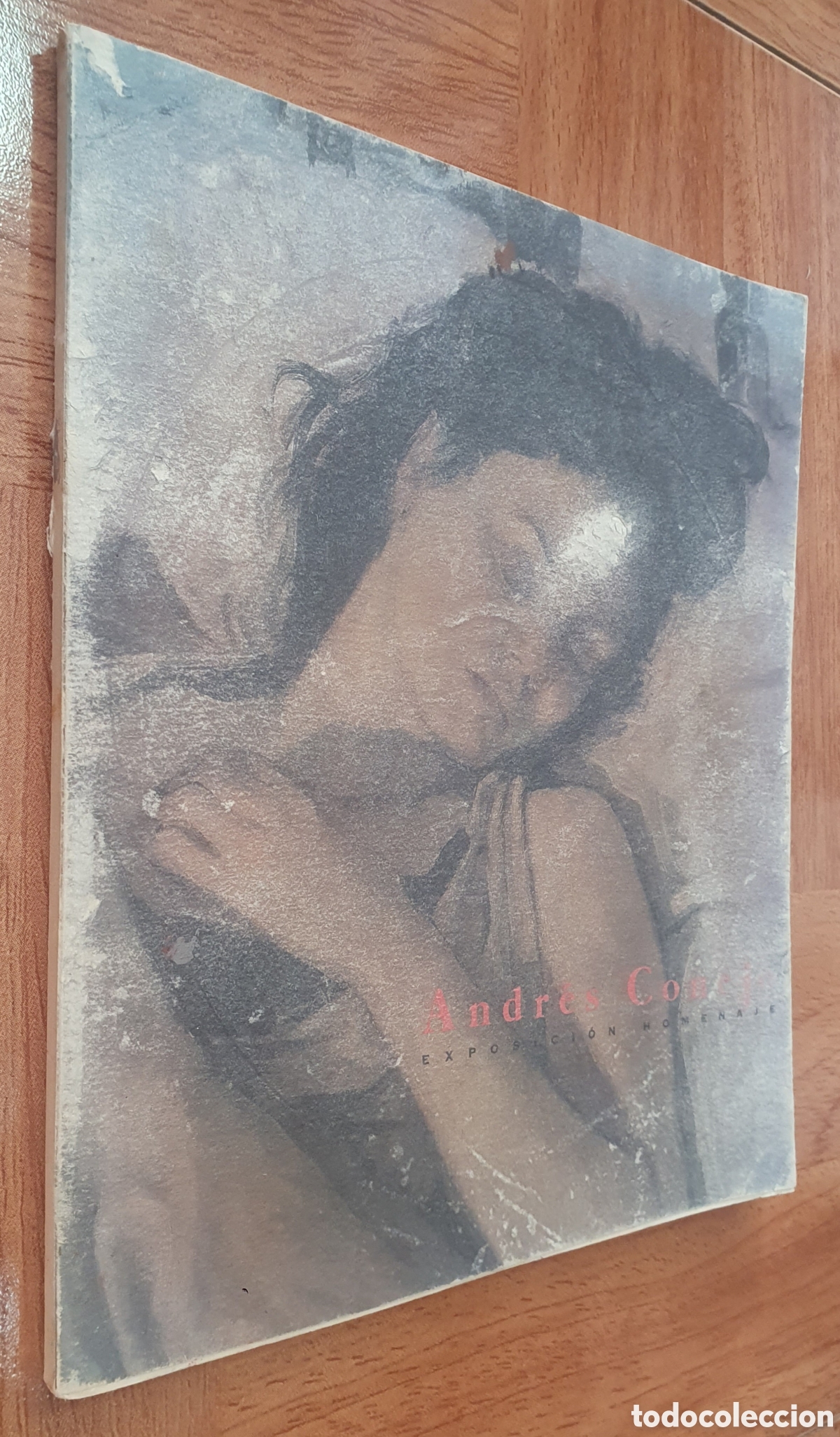 Libros: Andr&eacute;s Conejo: Exposici&oacute;n Homenaje � Biling&uuml;e - VV. AA. - Foto 1