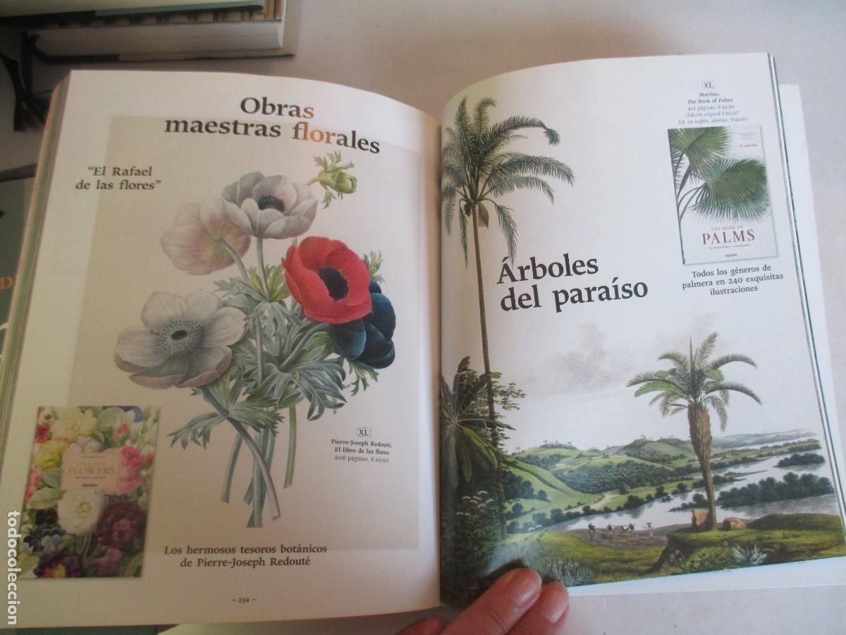 Libros: Taschen La colecci&oacute;n de invierno al completo 2017-2018 W33761 - Foto 4