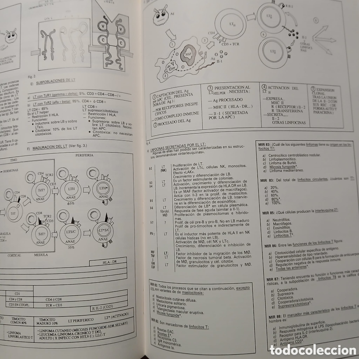 Libros: Manual Intensivo Examen MIR - Foto 6