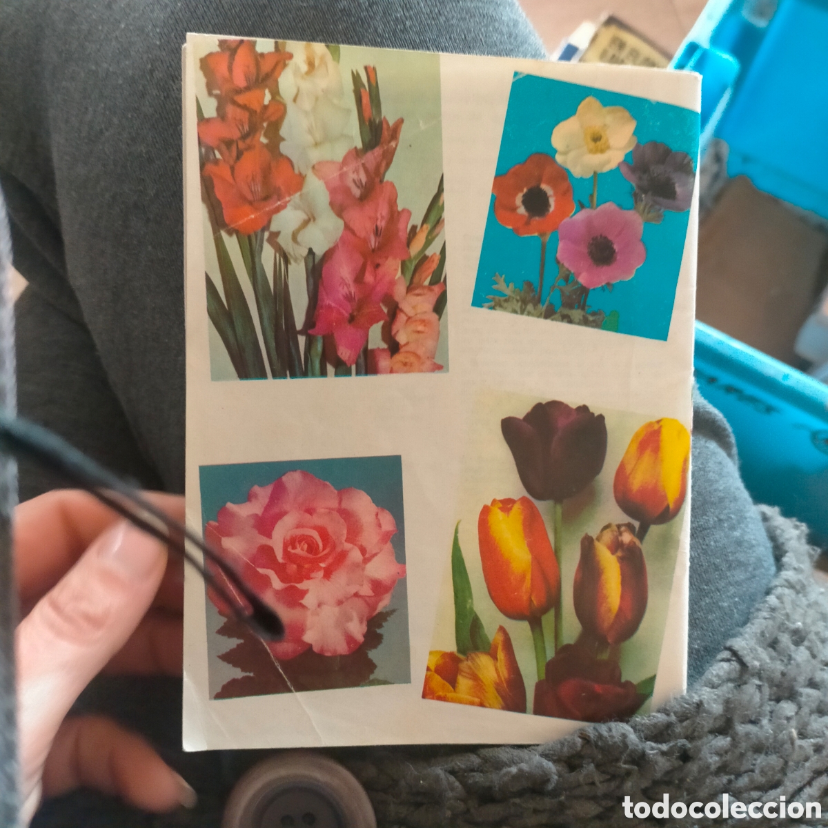 Libros: Plantas Bulbosas Kanda - Foto 2