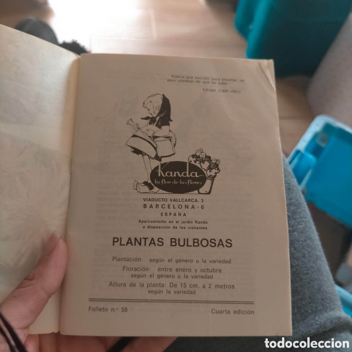 Libros: Plantas Bulbosas Kanda - Foto 3