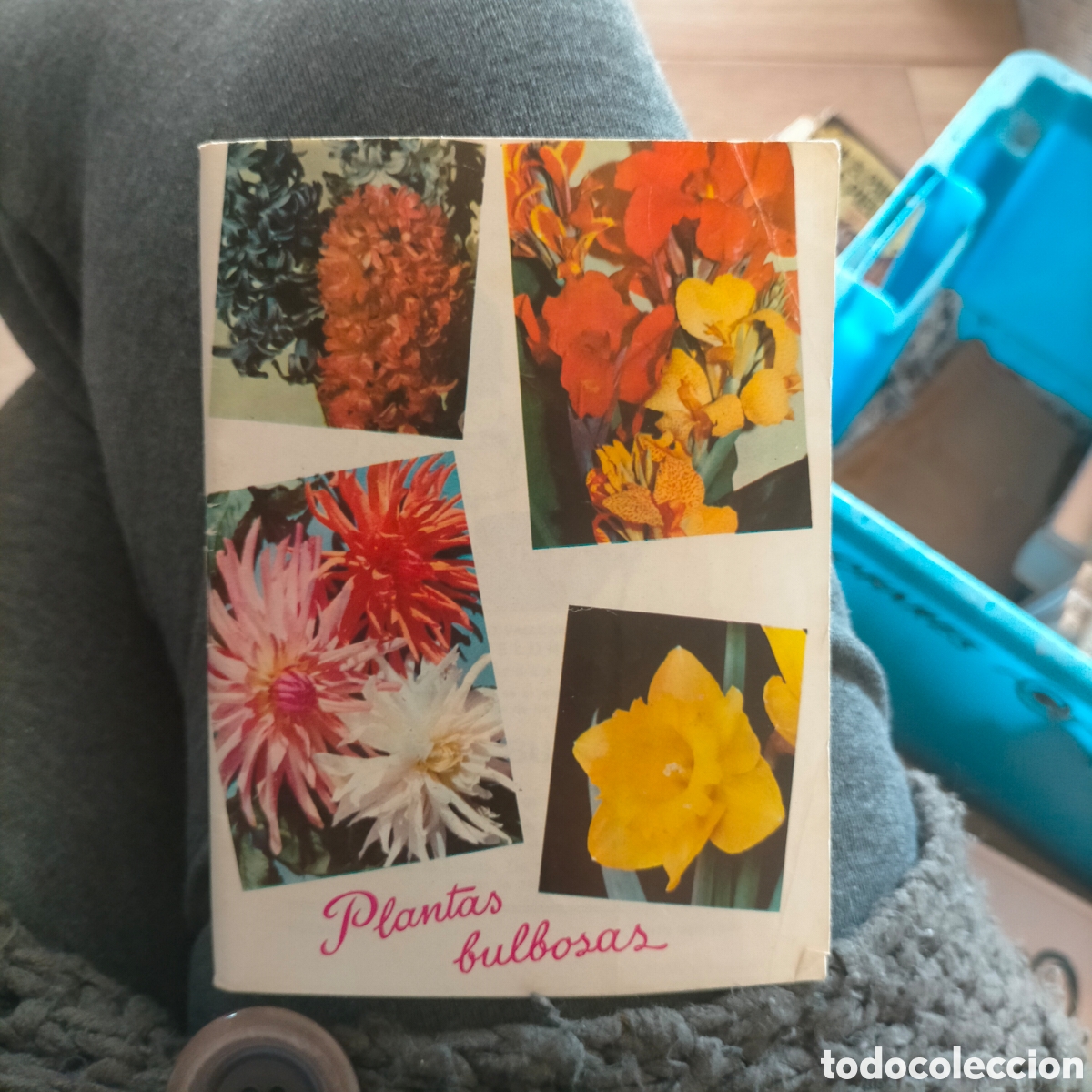 Libros: Plantas Bulbosas Kanda - Foto 1