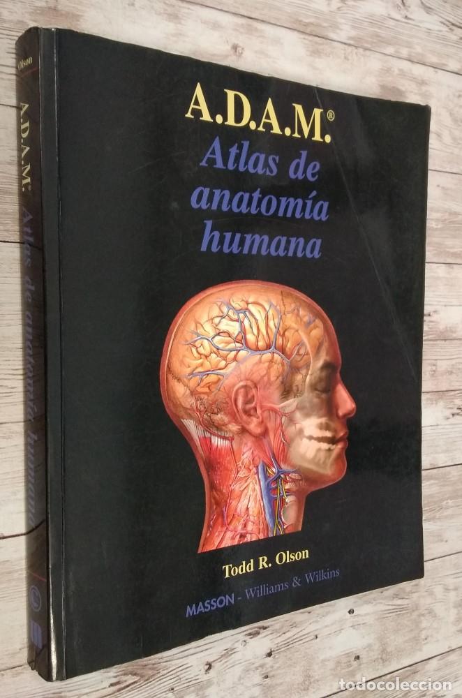 Libros: Atlas de Anatom&iacute;a humana, A.D.A.M. - Todd R. Olson - Foto 1