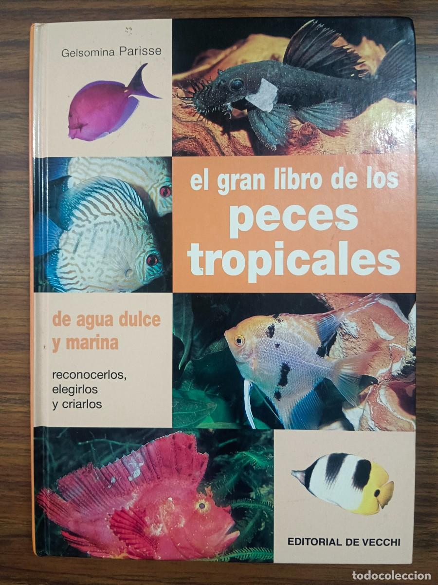Libros: EL GRAN LIBRO DE LOS PECES TROPICALES - Gelsomina Parisse - Foto 1