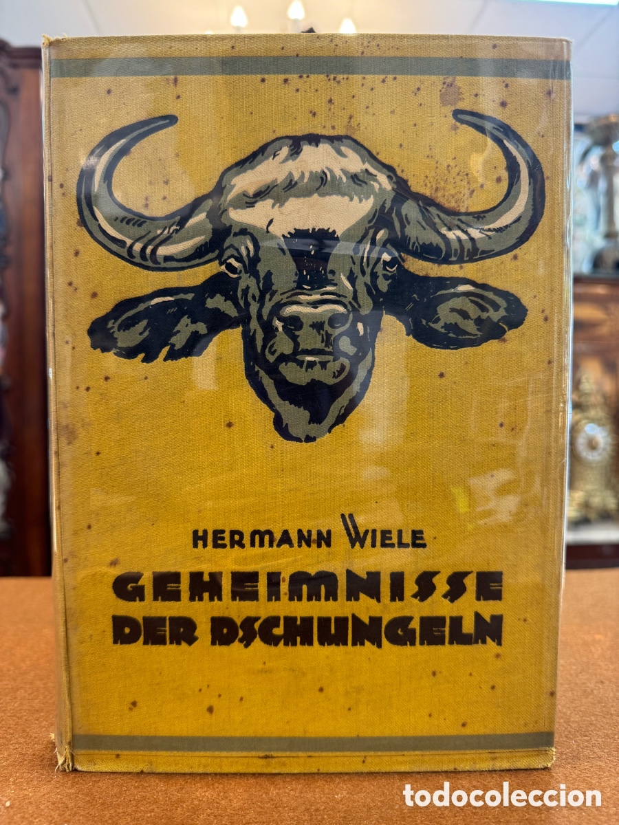 Libri di seconda mano: GEHEIMNISSE DER DSCHUNGELN, GERMANN WIELE