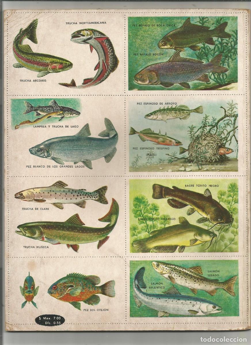 Libros: Un libro de oro de estampas. Peces. N&ordm; 22. - Foto 2