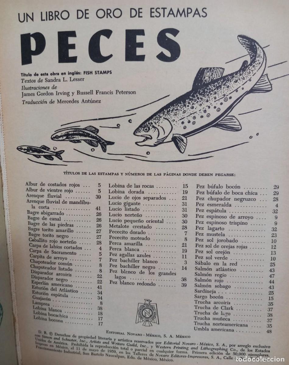 Libros: Un libro de oro de estampas. Peces. N&ordm; 22. - Foto 4
