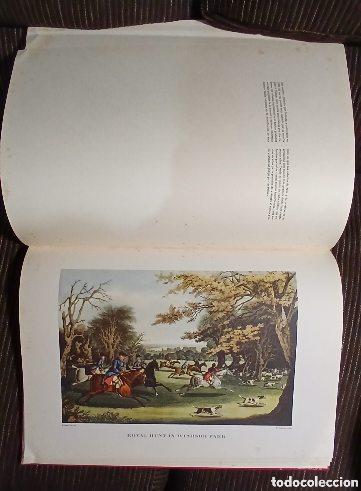 Libros: Escenas de Caza J.Candfryn-Roberts 1963 - Foto 9