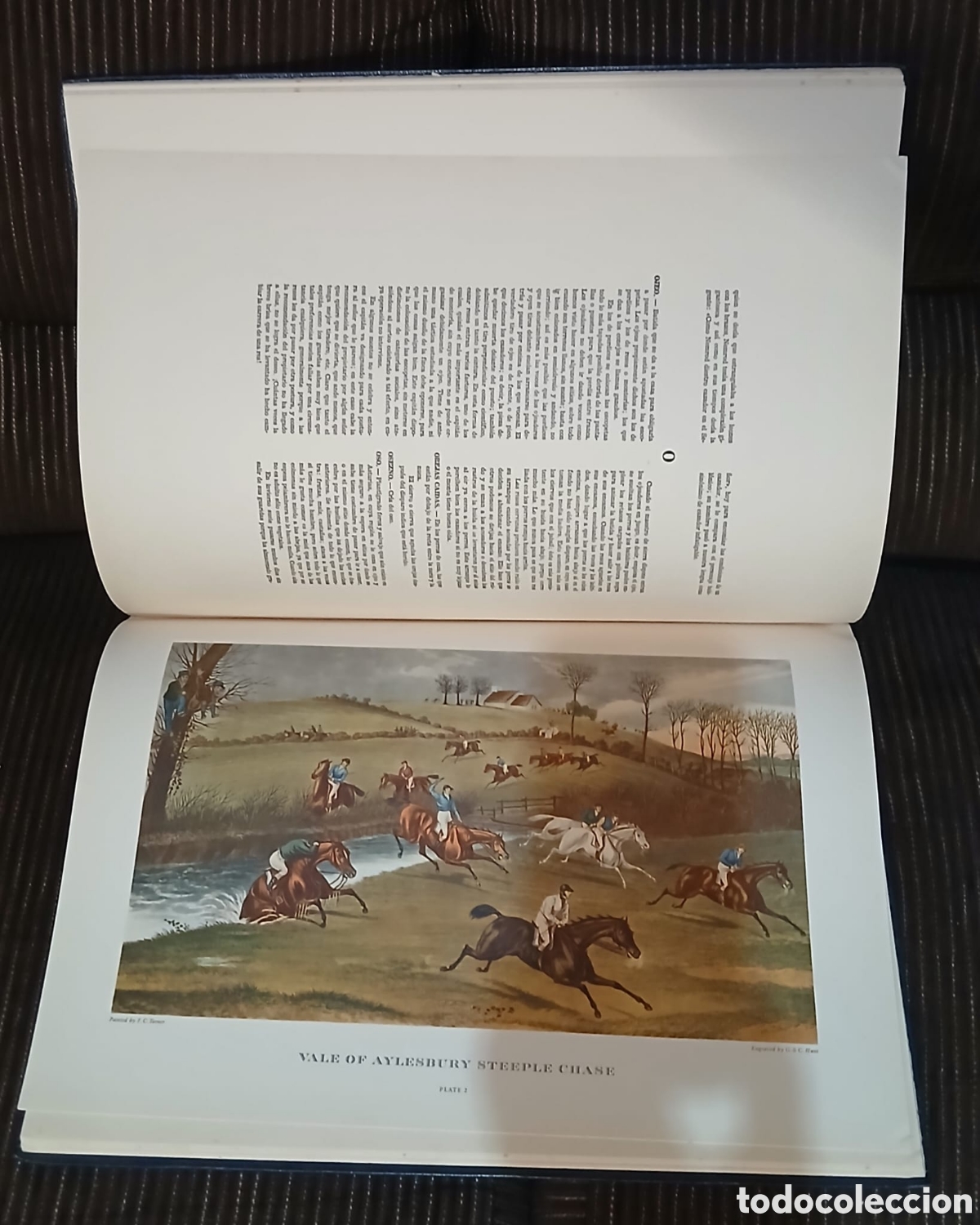 Libros: Escenas de Caza J.Candfryn-Roberts - Foto 17