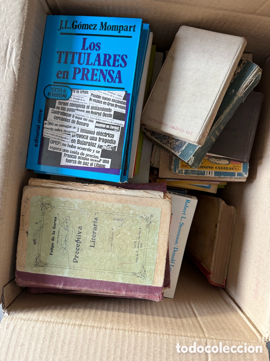 Libros: LOTE DE LIBROS SIN CLASIFICAR - Foto 7