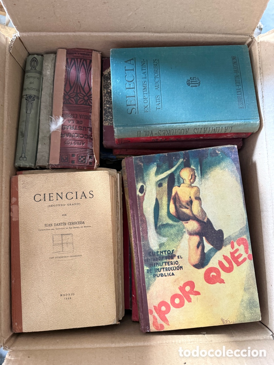 Libros: LOTE DE LIBROS SIN CLASIFICAR - Foto 8