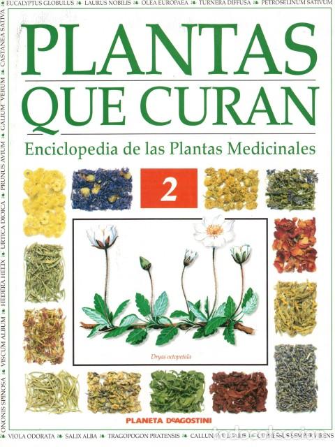 Libros: PLANTAS QUE CURAN. ENCICLOPEDIA DE LAS PLANTAS MEDICINALES. FASC&Iacute;CULO 2 - ORTEGA, VIRGILIO (Director