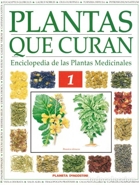 Libros: PLANTAS QUE CURAN. ENCICLOPEDIA DE LAS PLANTAS MEDICINALES. FASC&Iacute;CULO 1 (19 PLANTAS PARA EL EST... -