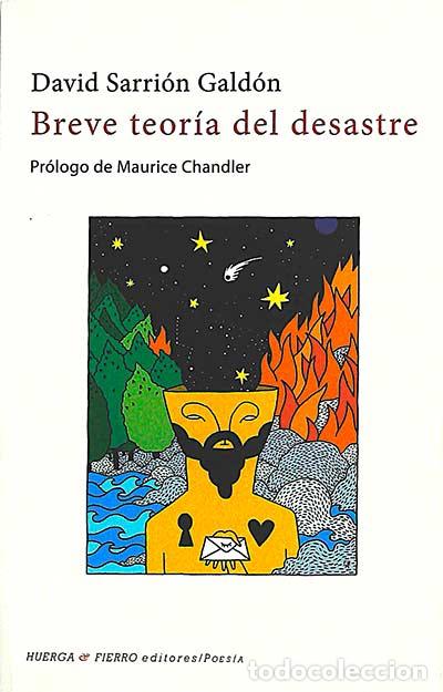 Libros: Breve teor&iacute;a del desastre - David Sarri&oacute;n Gald&oacute;n - Foto 1