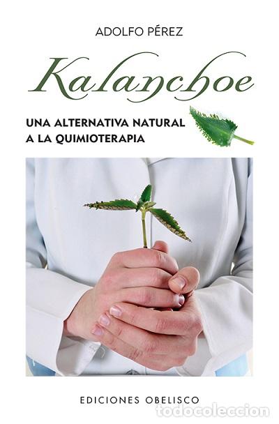 Libros: KALANCHOE - PEREZ, ADOLFO, - Foto 1