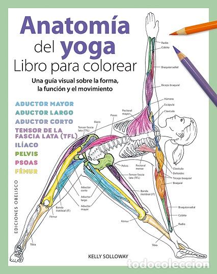 Libros: ANATOM&Iacute;A DEL YOGA. LIBRO PARA COLOREAR - SOLLOWAY, KELLY, - Foto 1