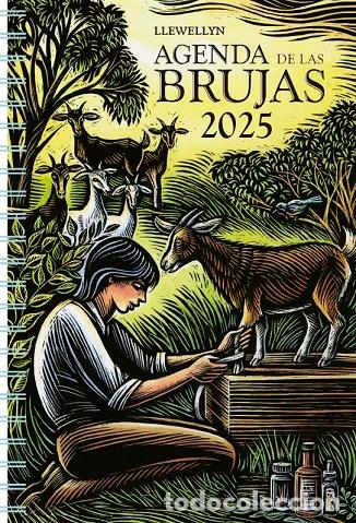 Libros: 2025 AGENDA DE LAS BRUJAS - LLEWELLYN, - Foto 1
