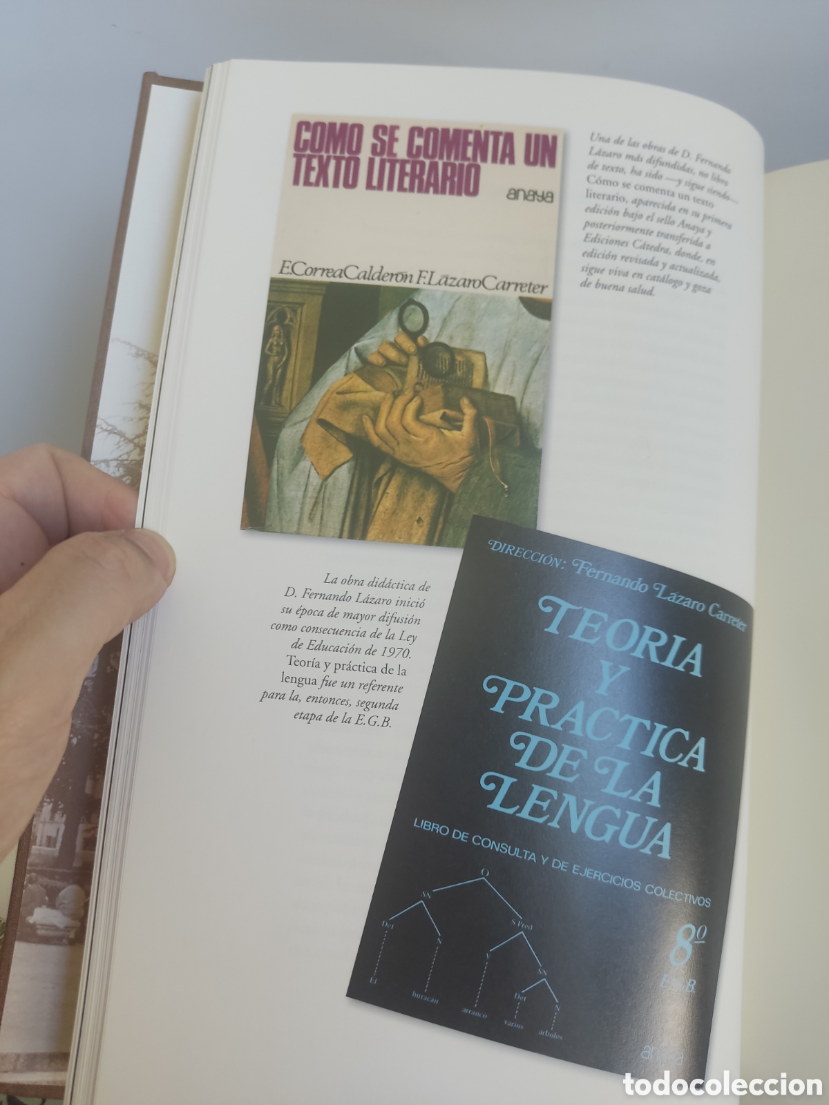 Libros: Anaya. El libro del 50. 2009 - 50 a&ntilde;os. Edici&oacute;n numerada. - Foto 6