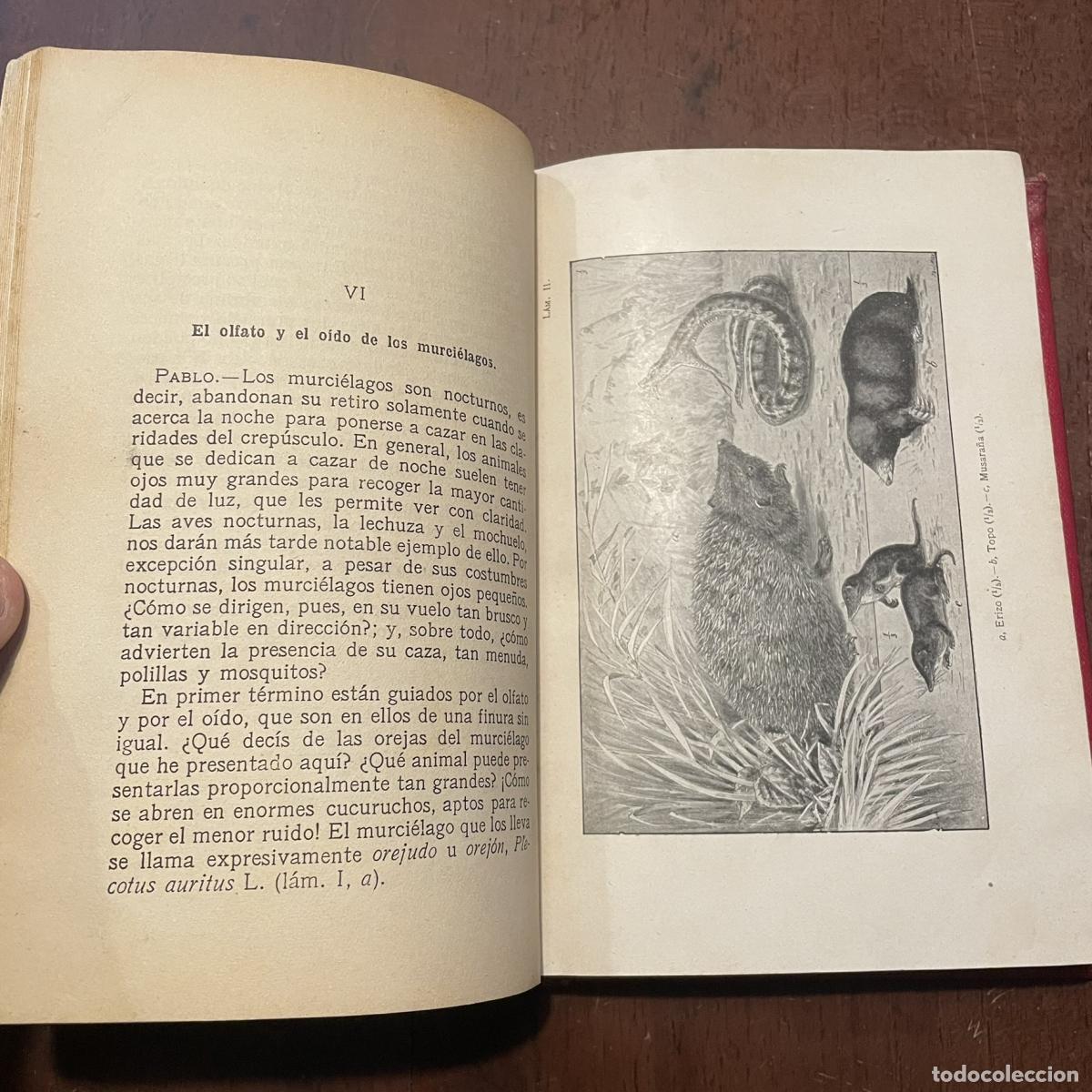 Libros: Los auxiliares - Jean-Henri Fabre - Foto 3