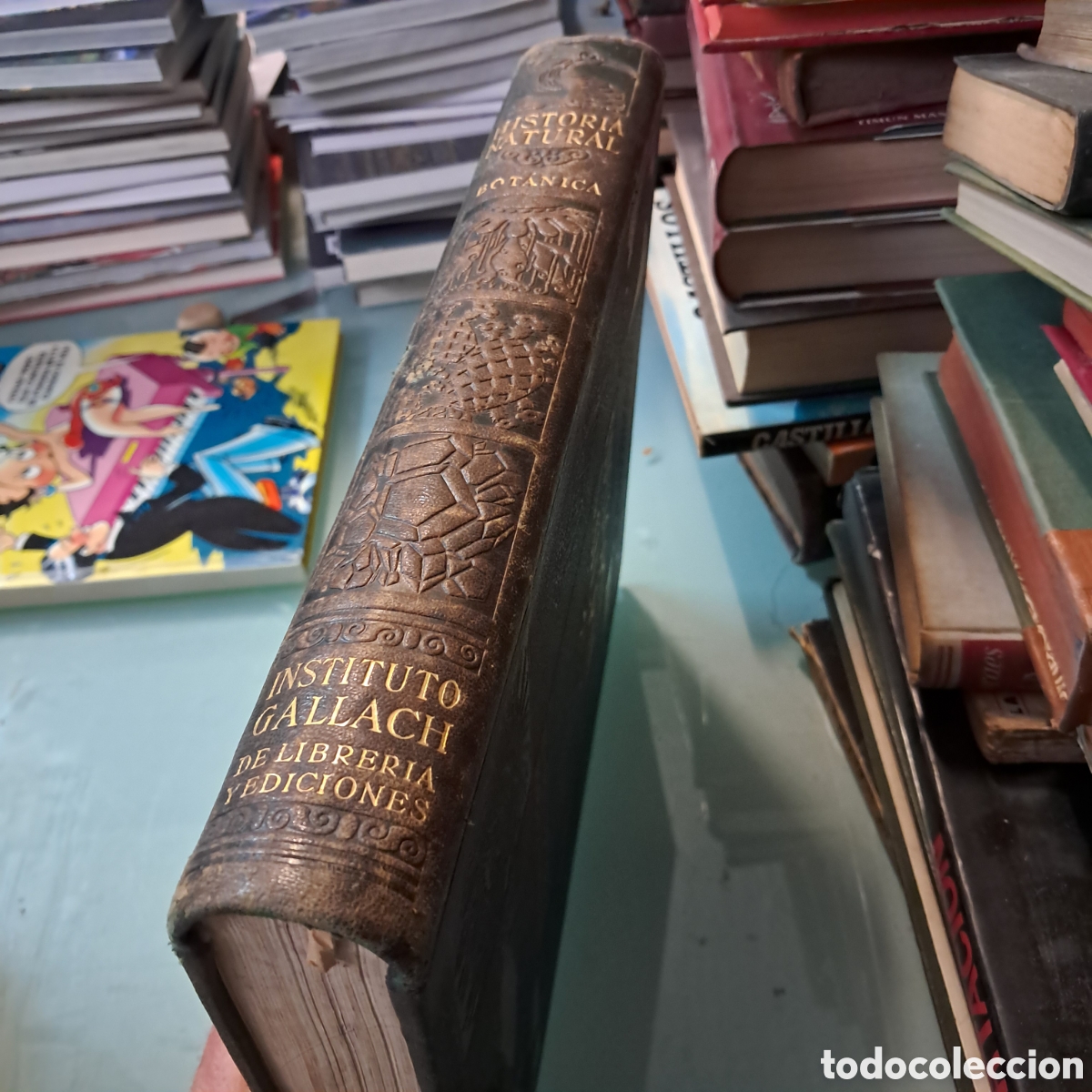 Libros: Historia natural, Bot&aacute;nica, Instituto Gallach - Foto 2