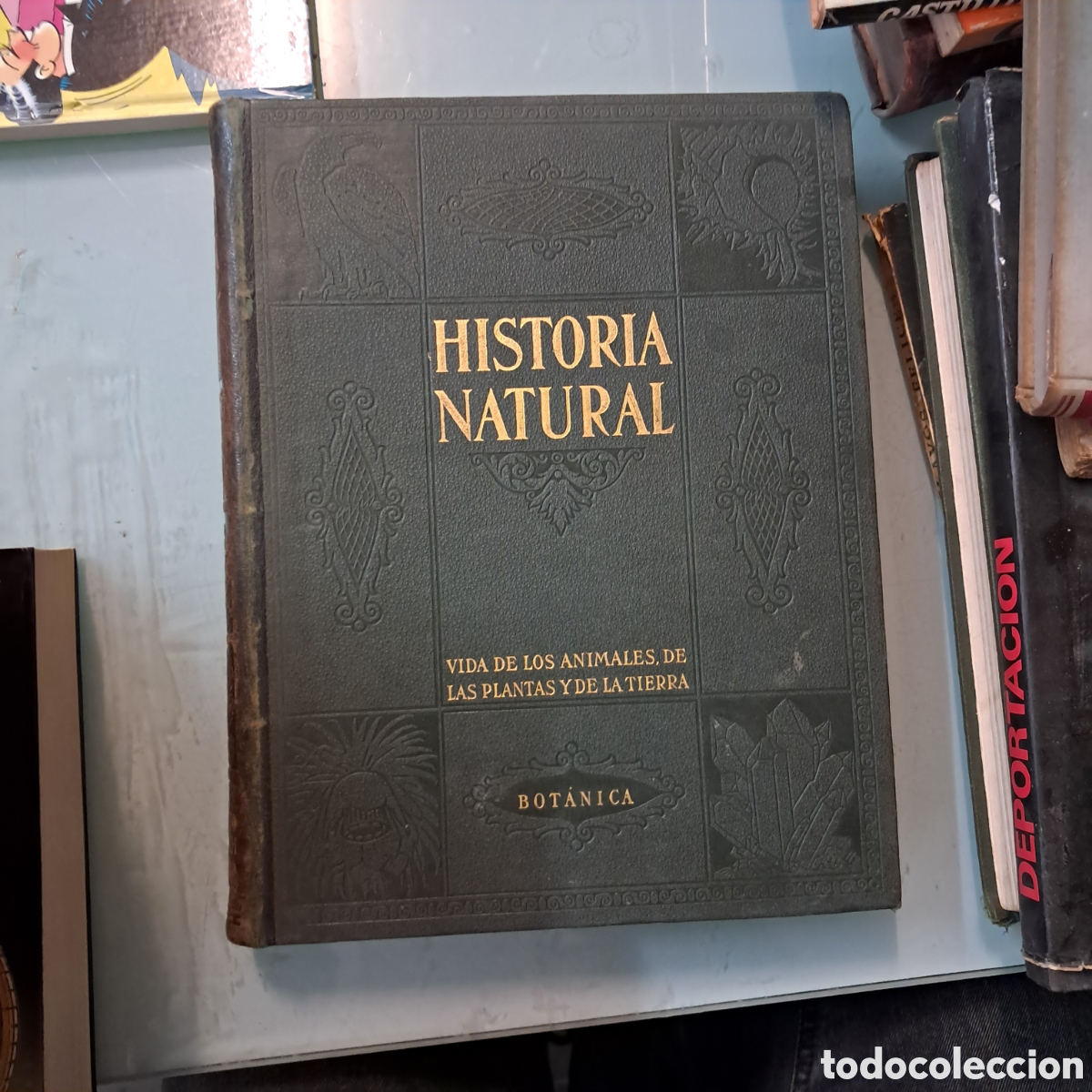 Libros: Historia natural, Bot&aacute;nica, Instituto Gallach - Foto 1