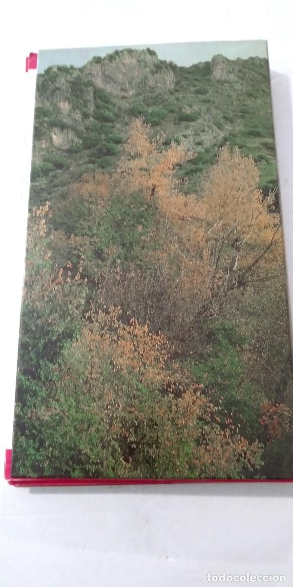 Libros: Gu&iacute;a de la naturaleza de C&oacute;rdoba - Foto 2